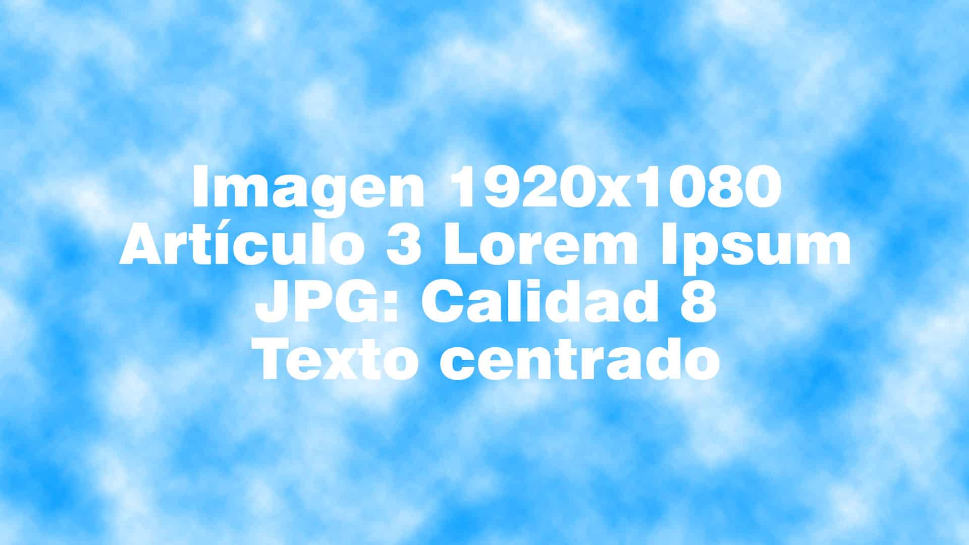 Artículo 3 calidad 8 Lorem Ipsum